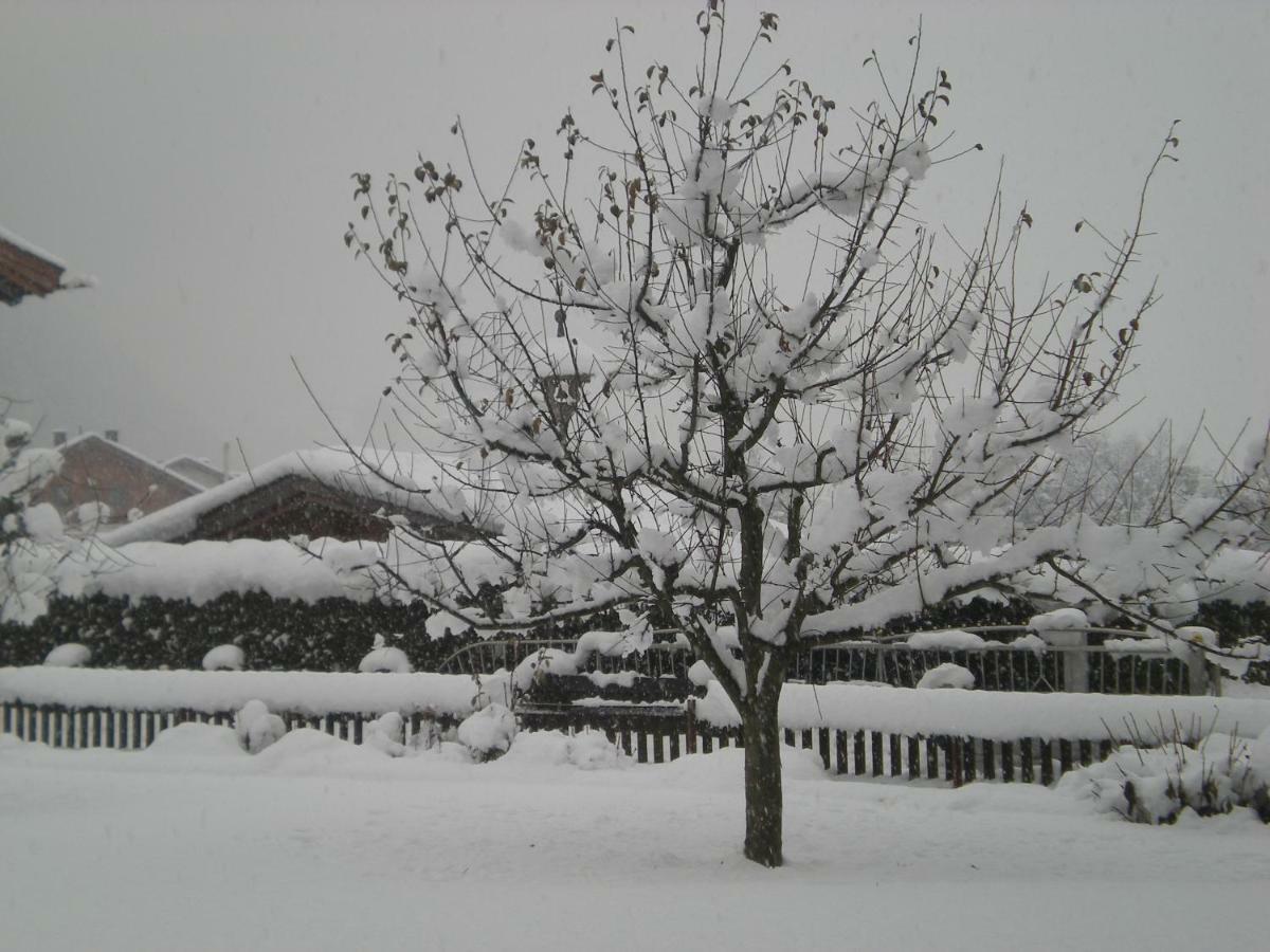 Hotel Garni Elisabeth Zell am Ziller Dış mekan fotoğraf